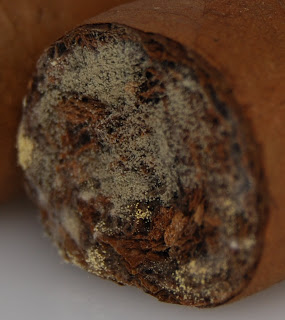 cigar mold closeup