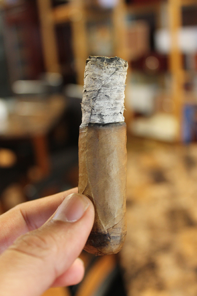 euforia-dominican-luxury-cigar-review-long-ash