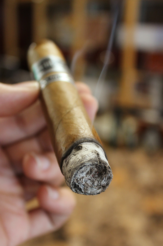 euforia-dominican-luxury-cigar-white-ash-first-puff-review