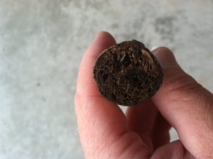 How to Pre-hale a cigar